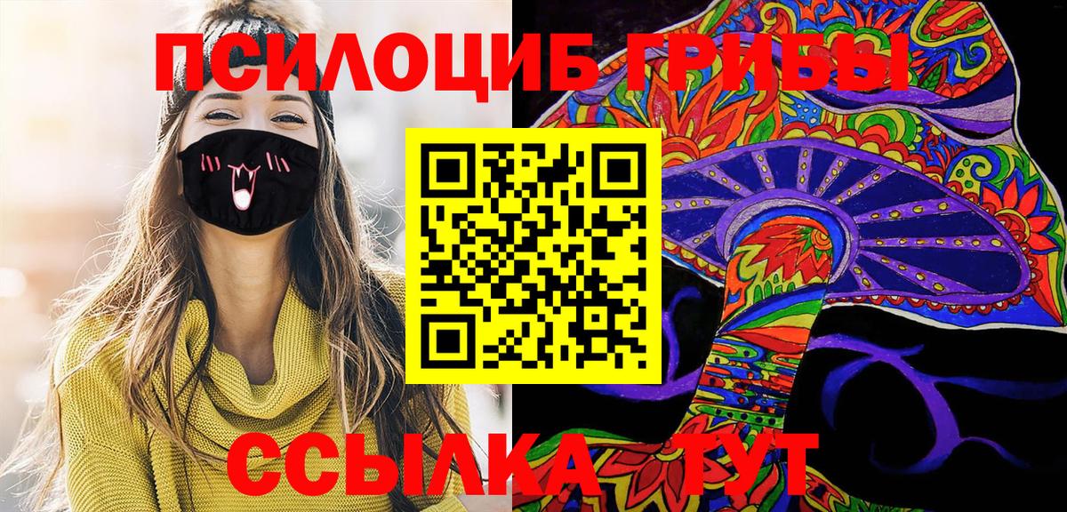 где найти   Галлюциногенные грибы мухоморы  Вязники  Вход с VPN  Галлюциногенные грибы мицелий 
